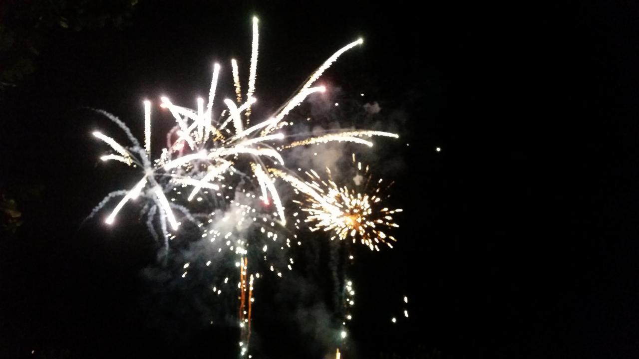 Défilé des Sans-Culottes - Mutig 2015
